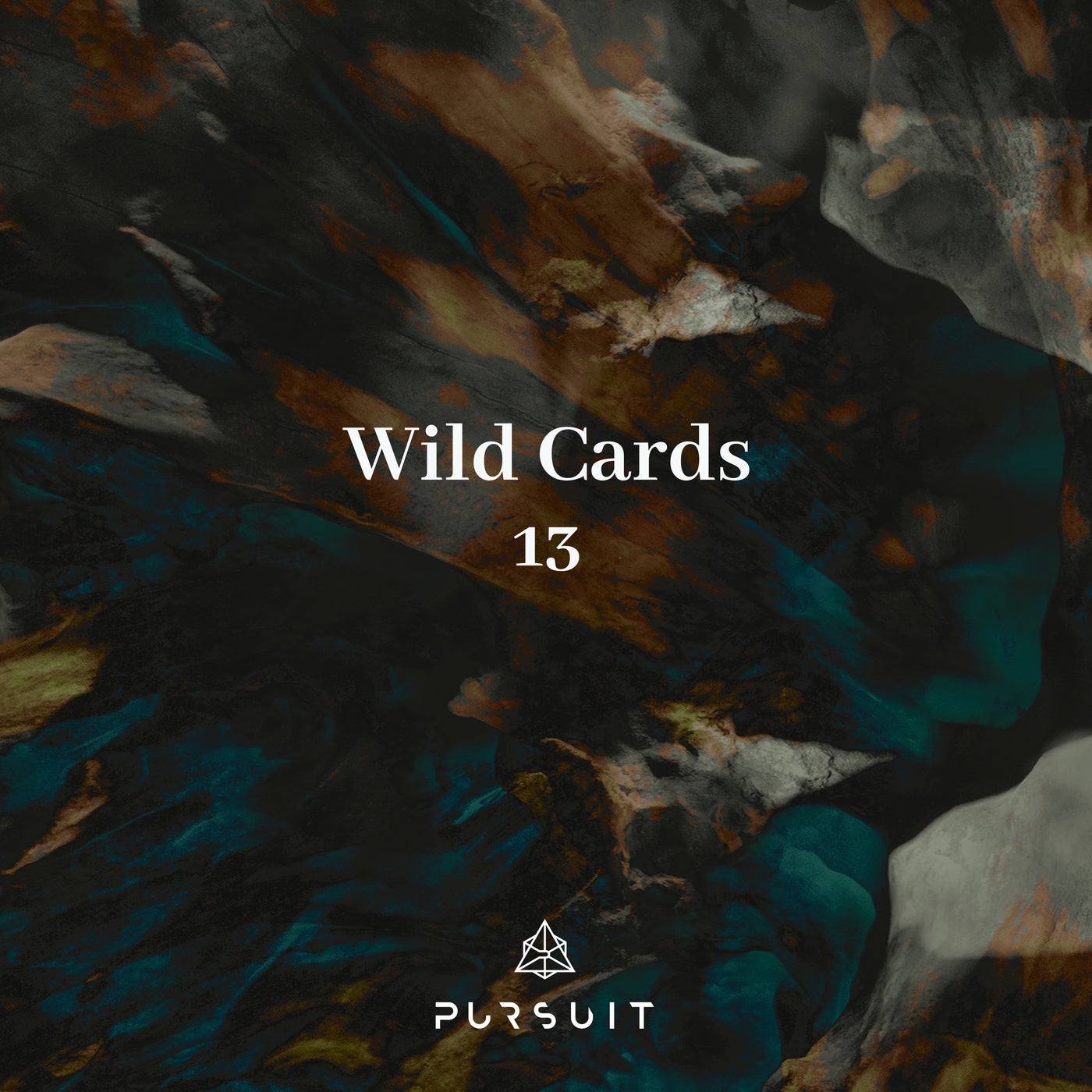 VA – Wild Cards 13 [PRST058]